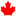 'citizenshipsupport.ca' icon