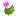 flowers.daflores.com icon