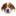 popdog.click icon
