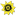 'sunpaintingco.com' icon